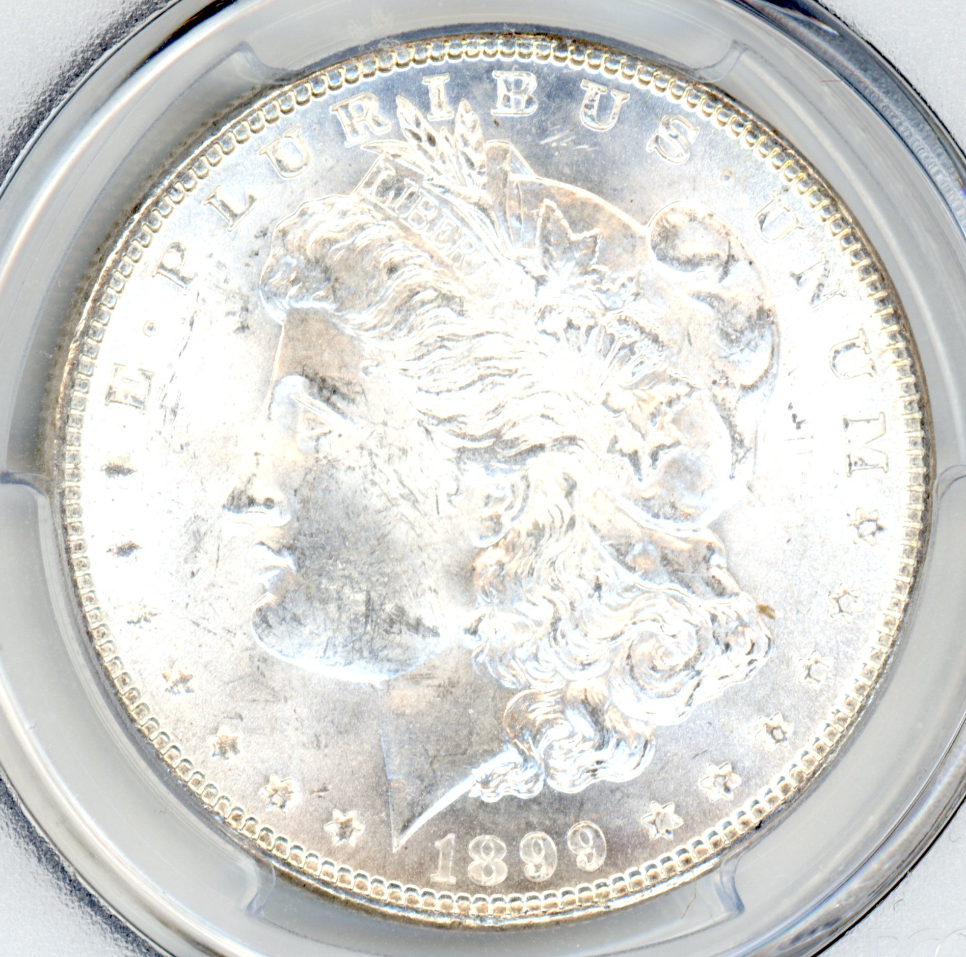 1899 Morgan Dollar - Fibonacci Numismatics